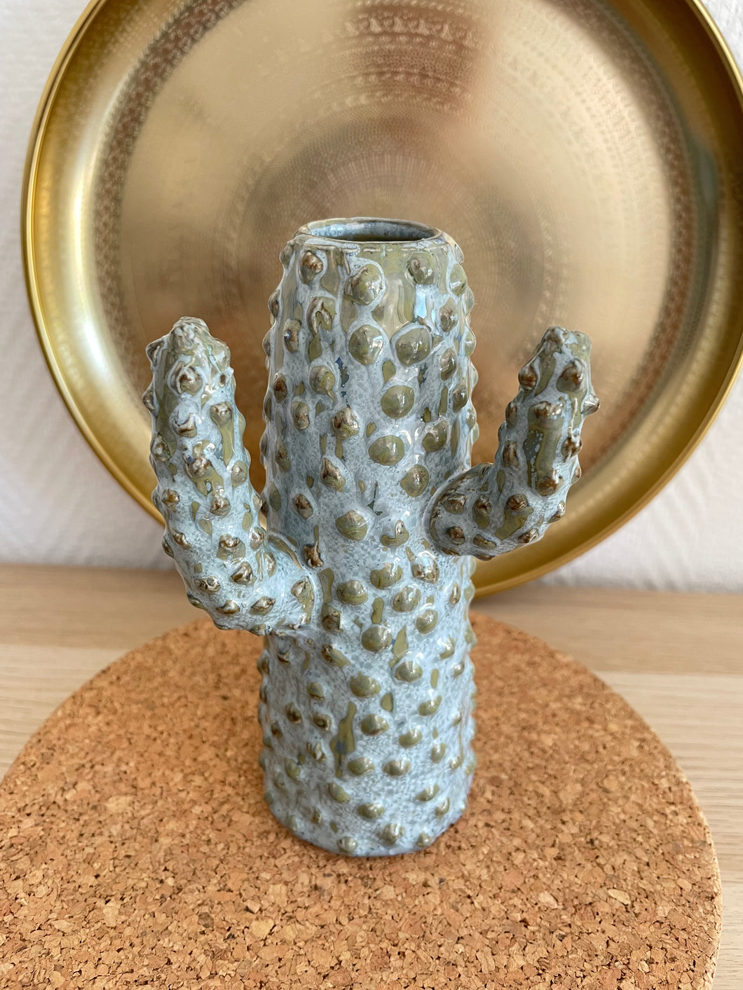 Vase Cactus